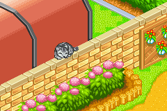 screenshots/Game Boy Advance/Catz/Kawaii Koneko (Eng) 005.png
